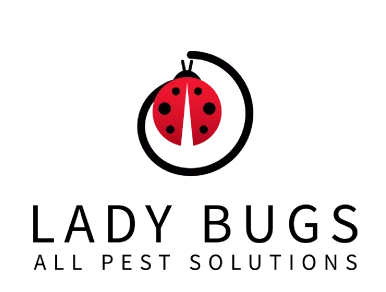 Lady Bugs All Pest Solutions